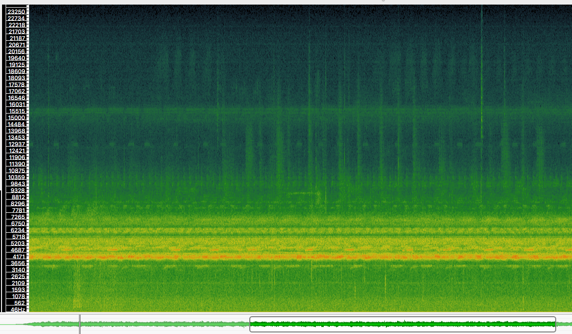 Espectrograma de la música ininterrompuda dels grills durant la nit